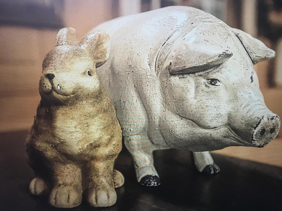 玉斯特利亚克鲁莎莉娃住宿加早餐旅馆 Tavanasa 外观 照片