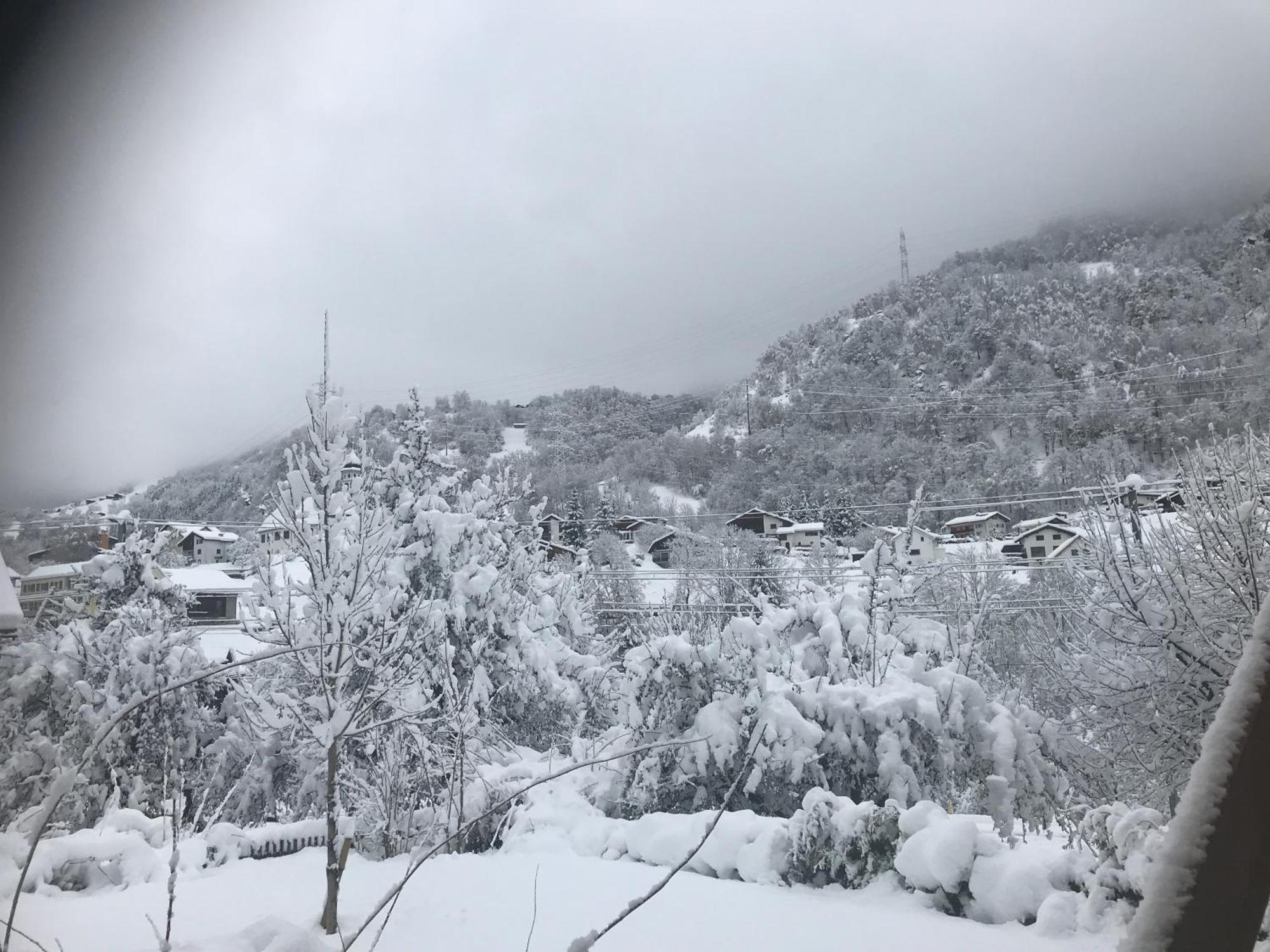 玉斯特利亚克鲁莎莉娃住宿加早餐旅馆 Tavanasa 外观 照片